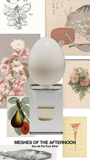PERFUME WHO_MESHES OF THE AFTERNOON