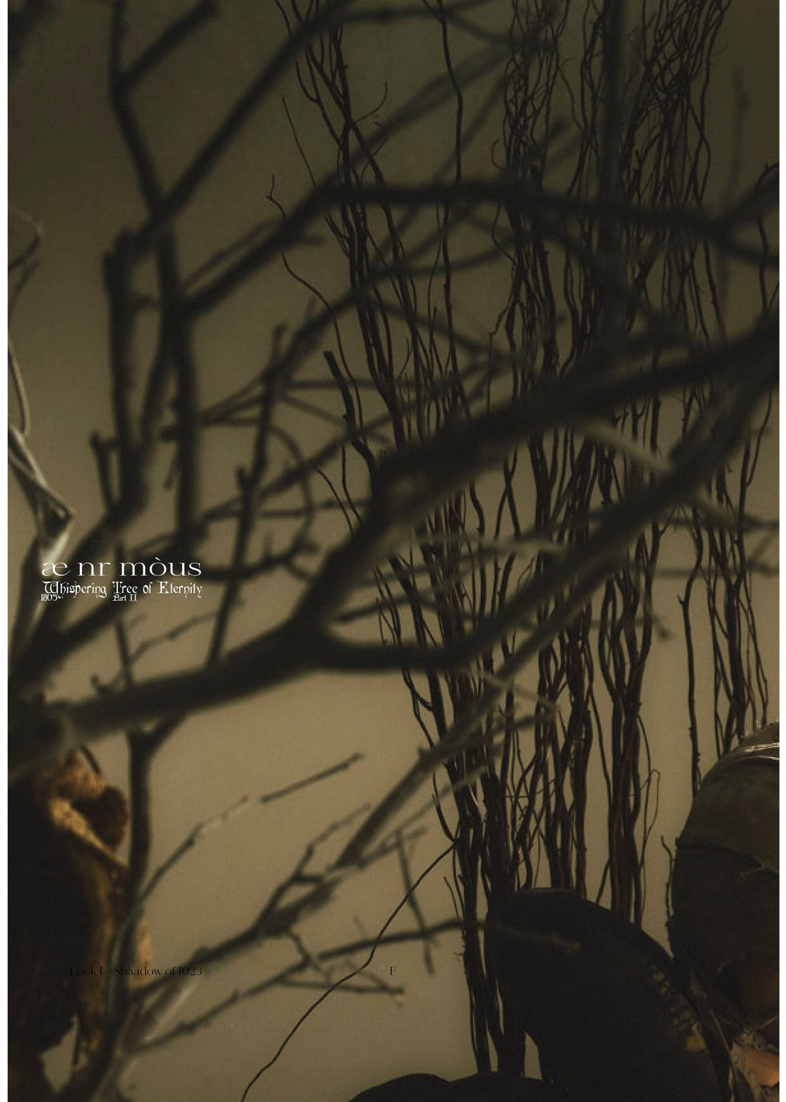 AENRMOUS SS26 Whispering Tree of Eternity