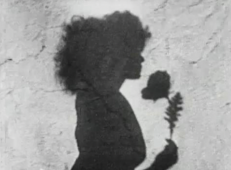 PERFUME WHO_MESHES OF THE AFTERNOON