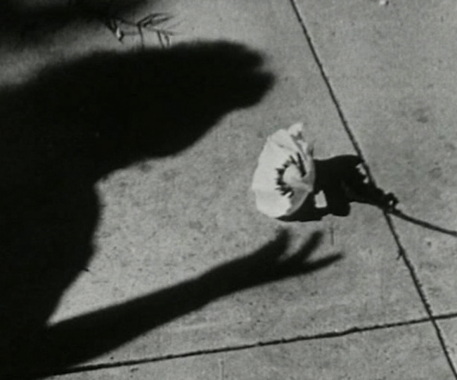 PERFUME WHO_MESHES OF THE AFTERNOON