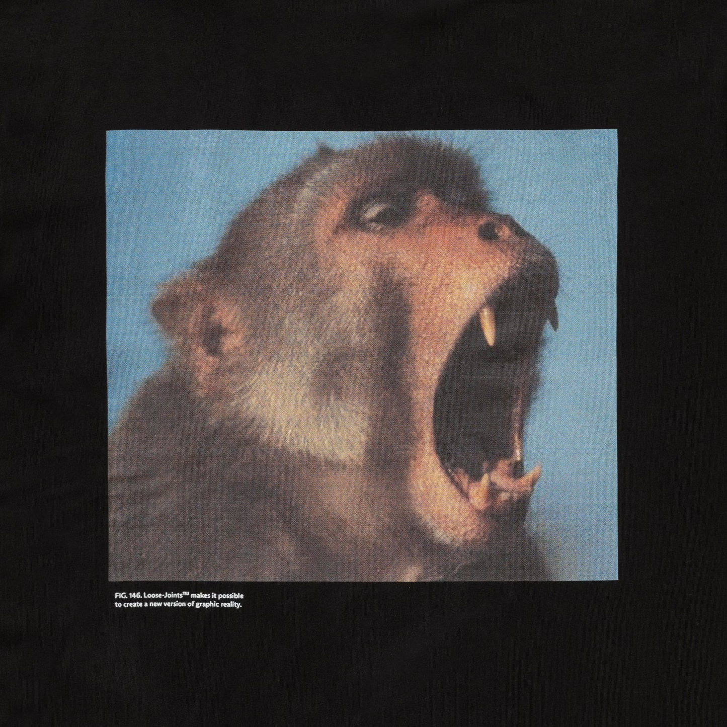 LOOSEJOINTS_ED DAVIS - 'Graphic Reality' S/S TEE (Black)